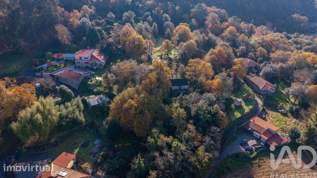 Terreno em Esqueiros, Nevogilde e Travassós - Grande imagem: 2/7