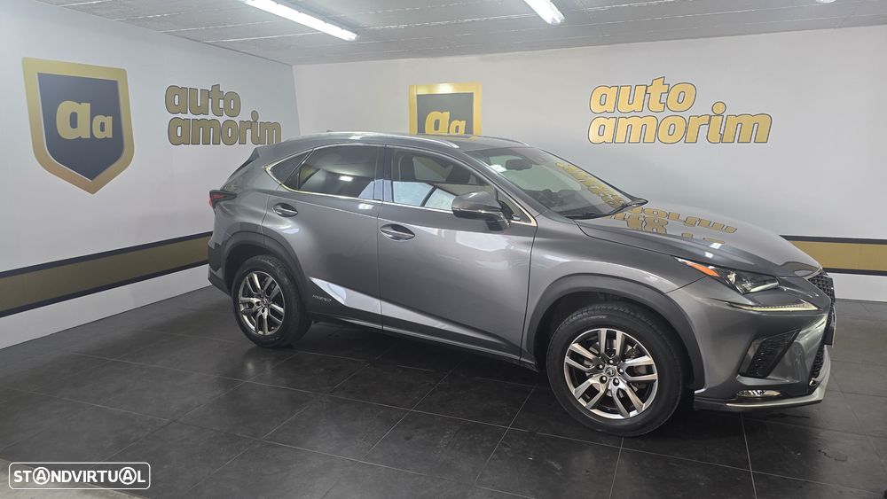 Lexus NX 300h Executive+ - 8