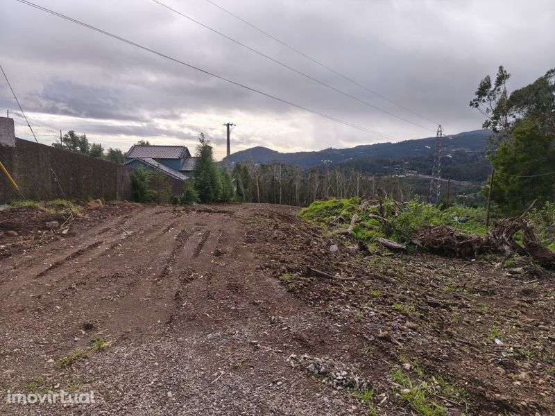 Venda terreno Santo António da serra, conselho de Santa Cruz - Grande imagem: 2/2