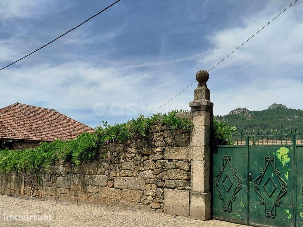 Quinta centenária com casa senhorial para reabilitação e olival par... - Grande imagem: 5/44