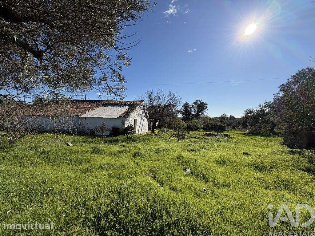 Quinta T3 em Moncarapacho e Fuseta de 140,00 m2 - Grande imagem: 5/21
