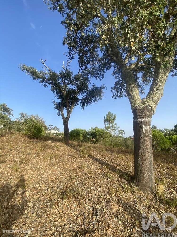 Terreno para construção em São Brás de Alportel - Grande imagem: 5/36