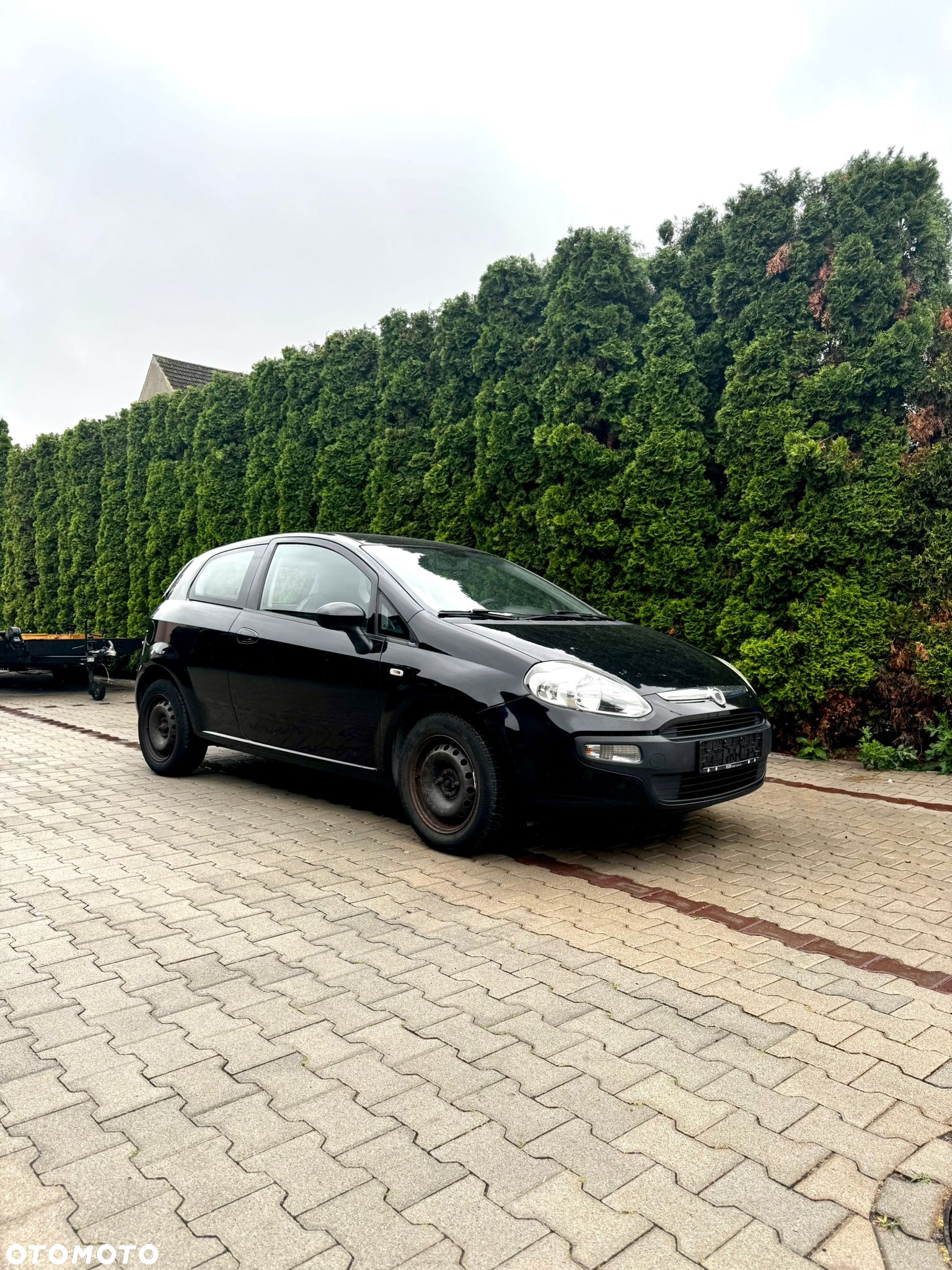 Fiat Punto 1.2 Fresh - 2