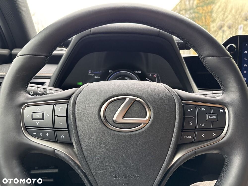 Lexus UX 250h GPF F Sport Design 2WD - 12