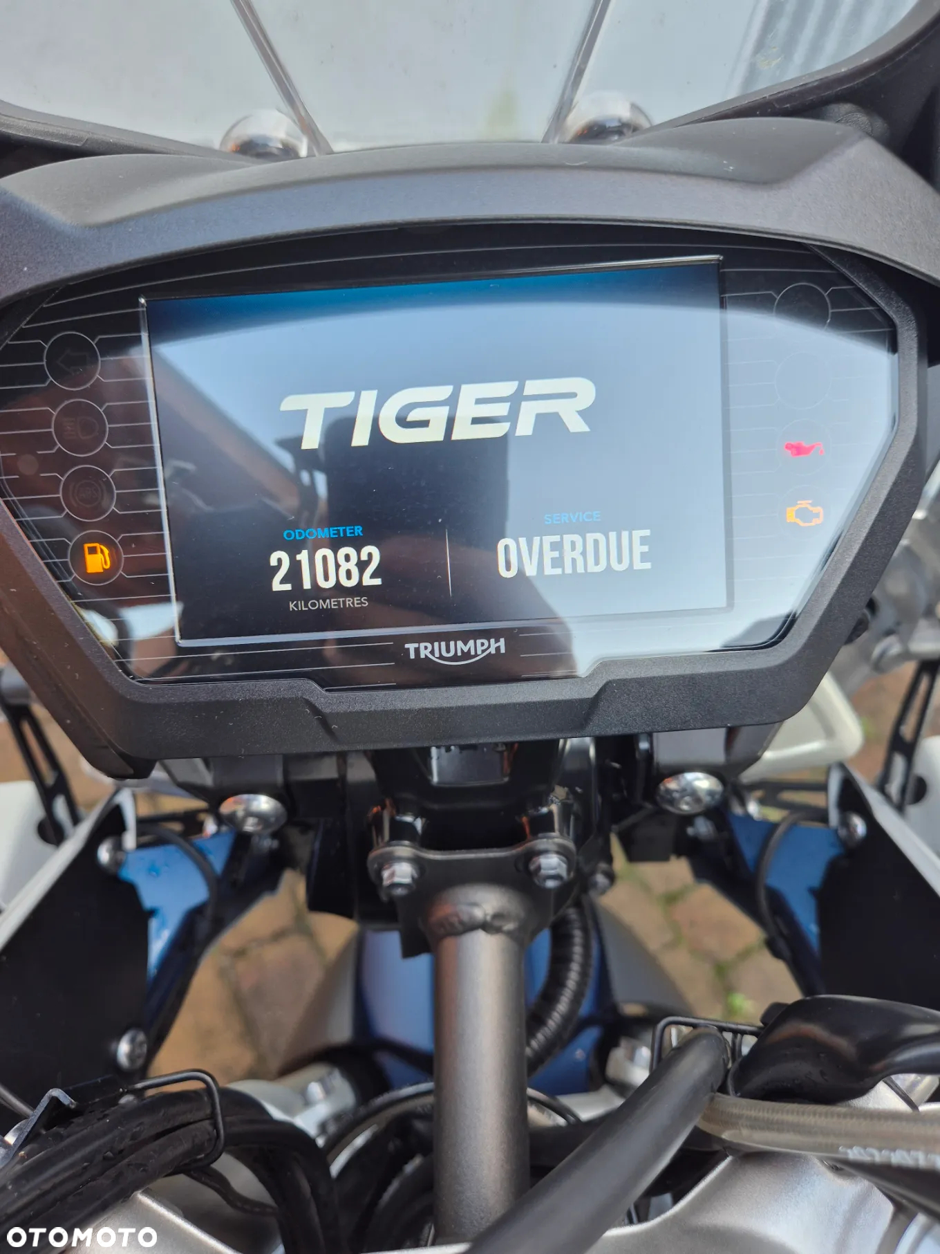 Triumph Tiger