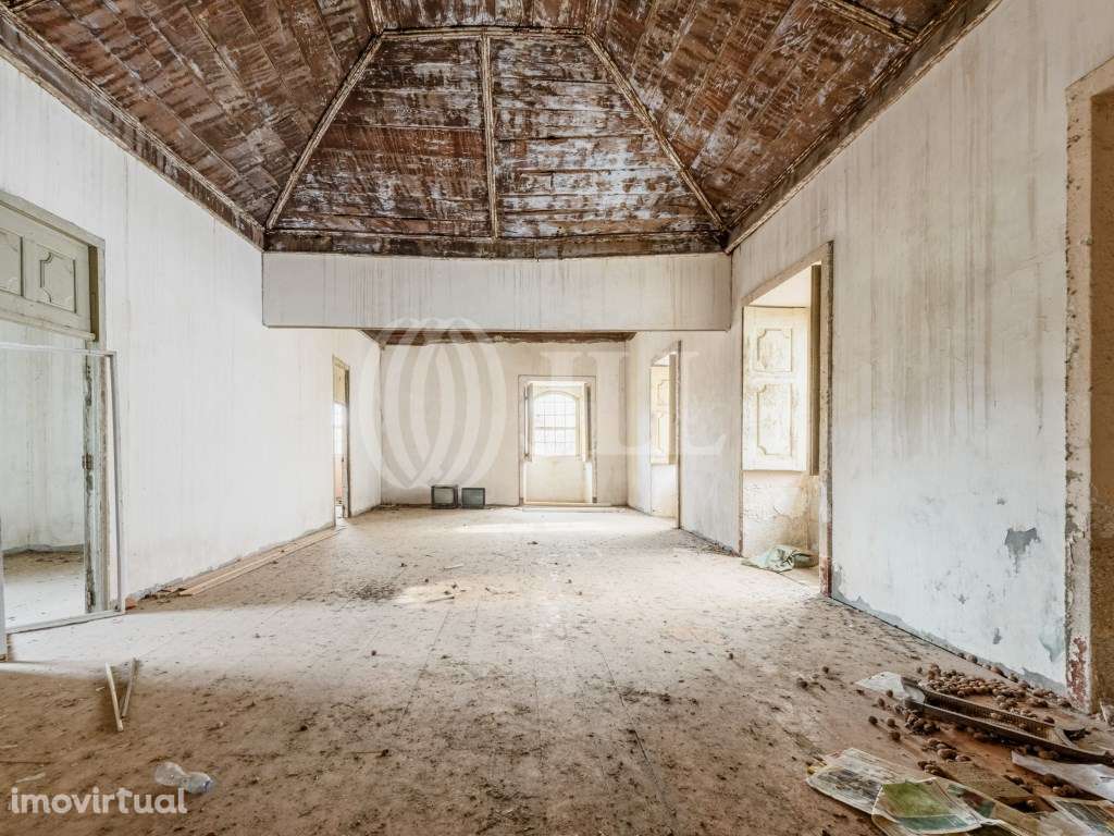 Quinta com produção de vinho, São da Pesqueira, Viseu - Grande imagem: 4/20