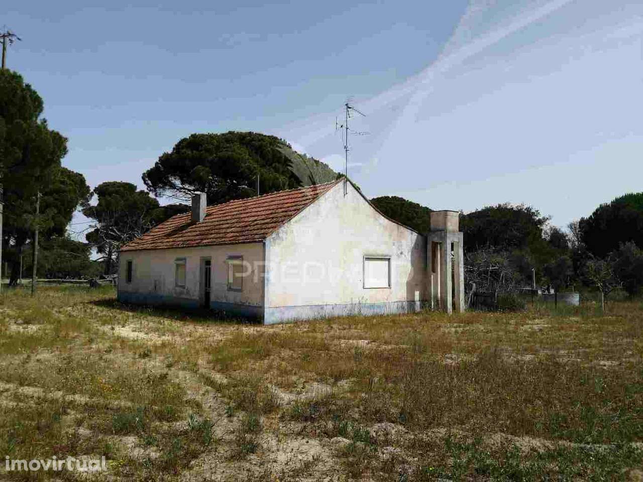 Monte Alentejano - Grândola - Grande imagem: 2/39