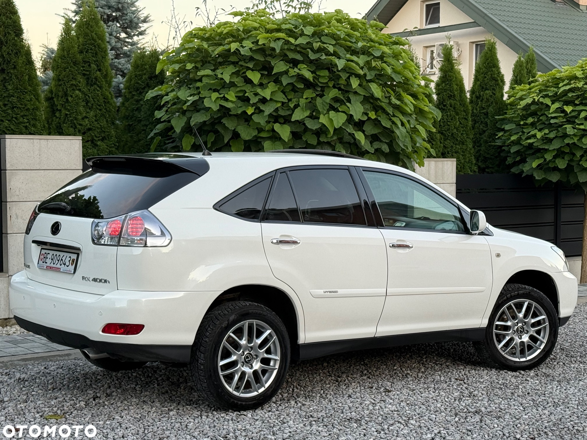 Lexus RX - 10