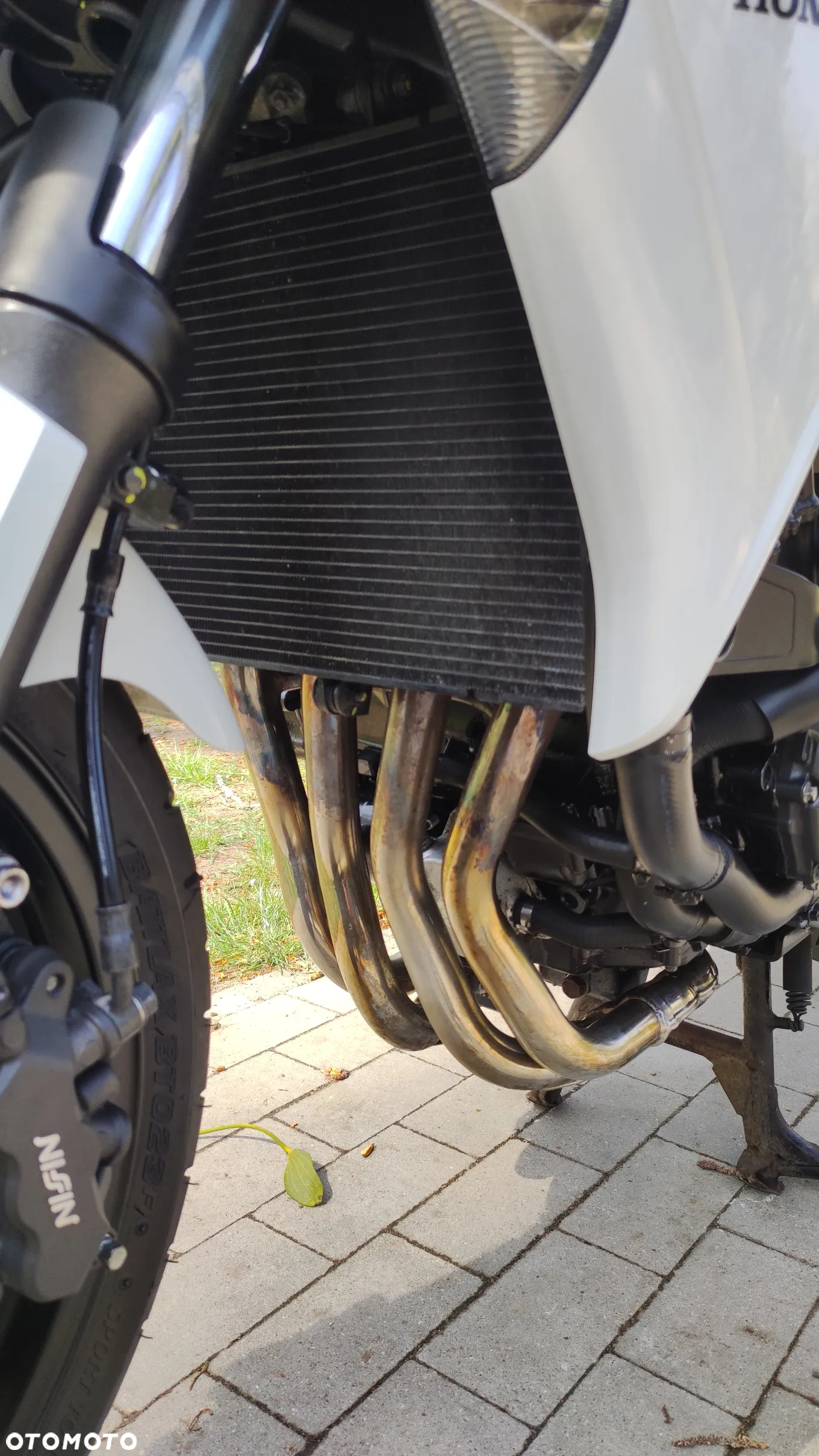 Honda CBF - 19