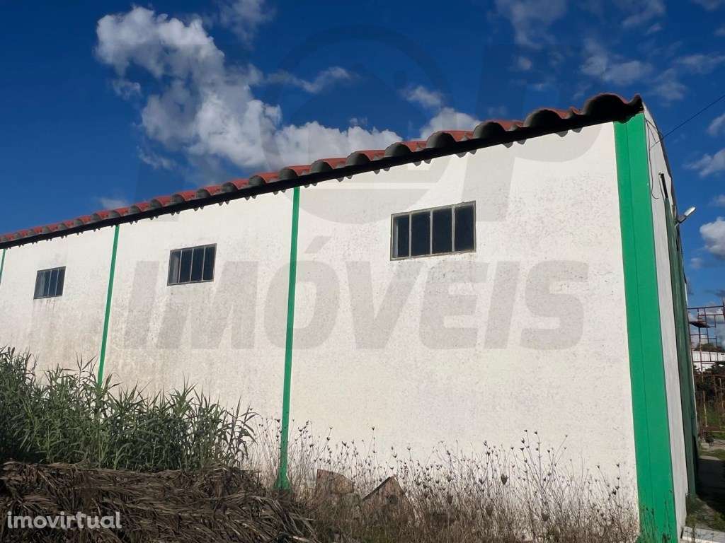 Armazém - Foros de Salvaterra - 275.000€ - Grande imagem: 3/3
