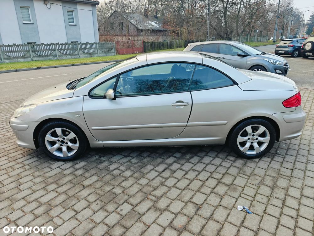 Peugeot 307 110 Sportline - 9