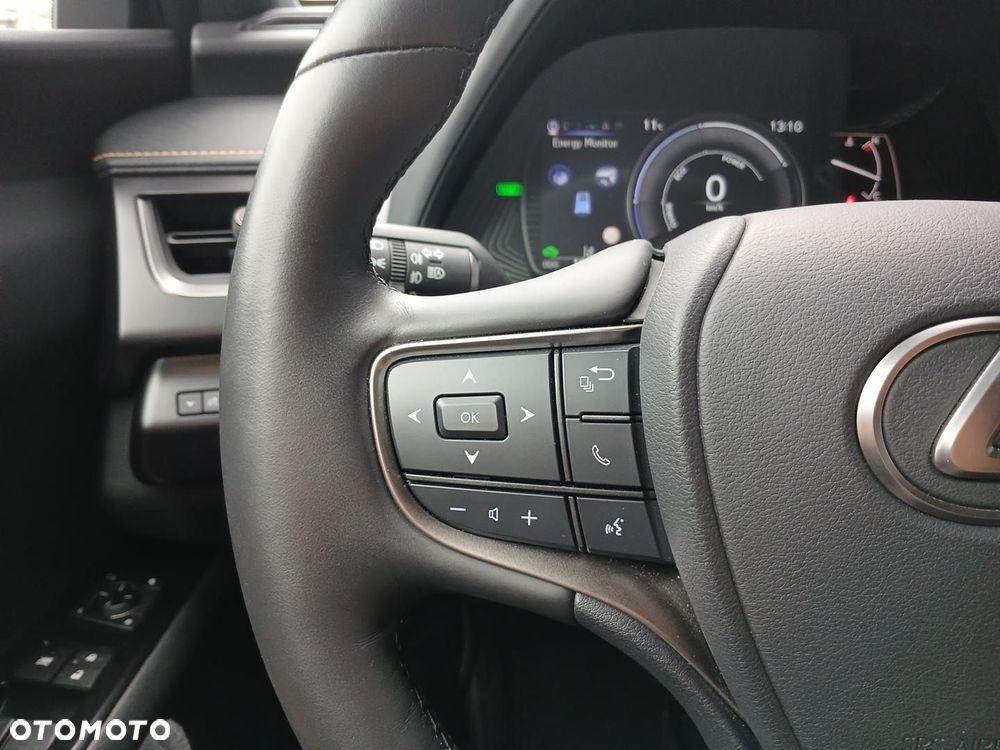 Lexus UX 250h GPF F Sport Design 2WD - 13
