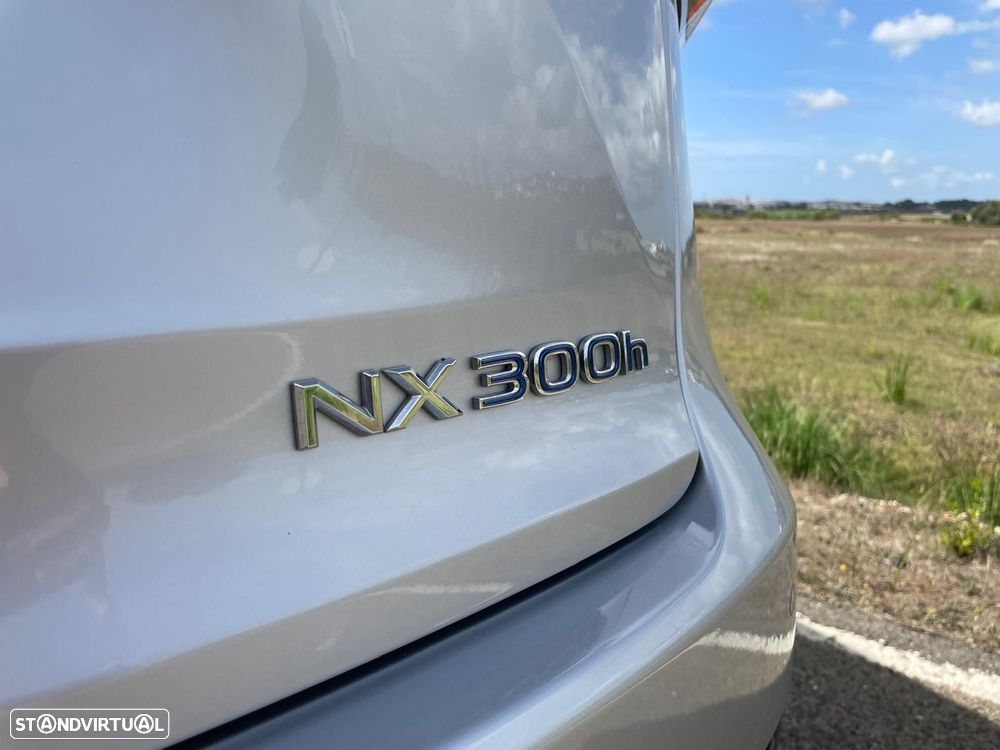 Lexus NX 300h Executive+ - 18
