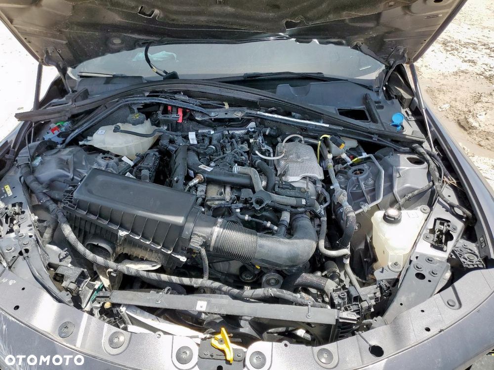 Alfa Romeo Giulia 2.0 Turbo 16V AT8-Q4 Intensa - 3