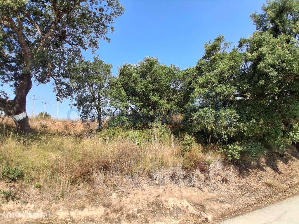 Lote para construção em A-dos-Negros com vista sobre o campo - Grande imagem: 5/10