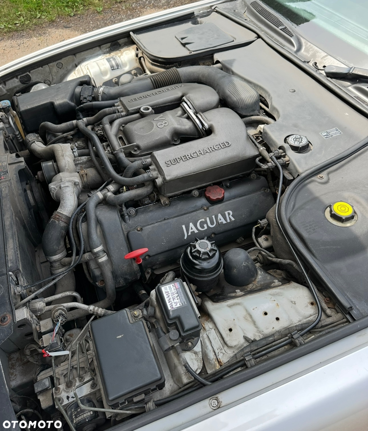 Jaguar XJR Standard - 2