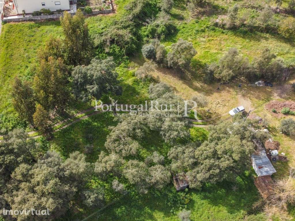 Terreno para construção em Proença-a-Nova. - Grande imagem: 5/11