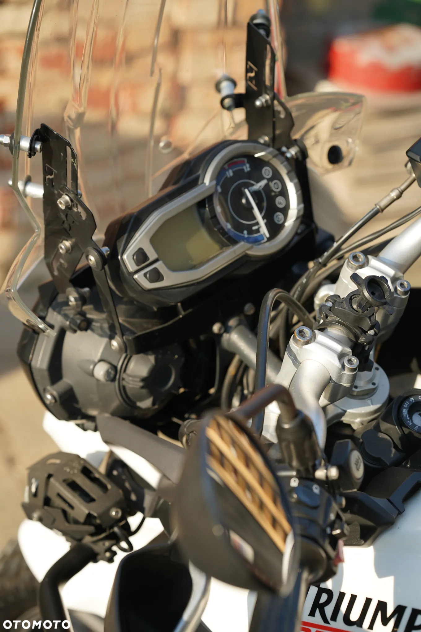 Triumph Tiger - 19