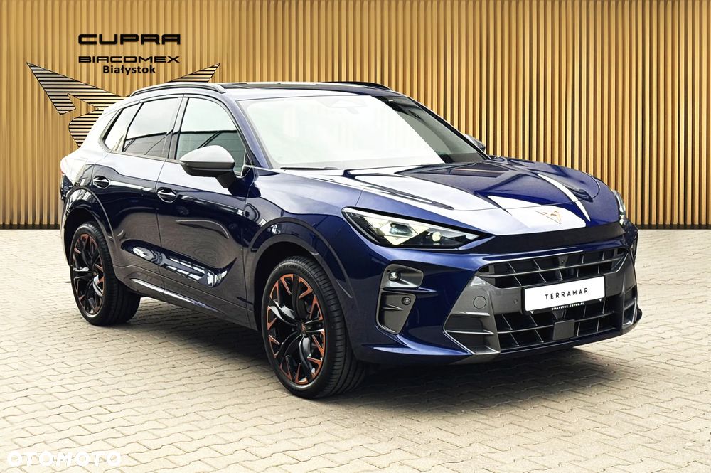 Cupra Terramar 2.0 TSI 4Drive Advantage Edition DCC DSG - 8