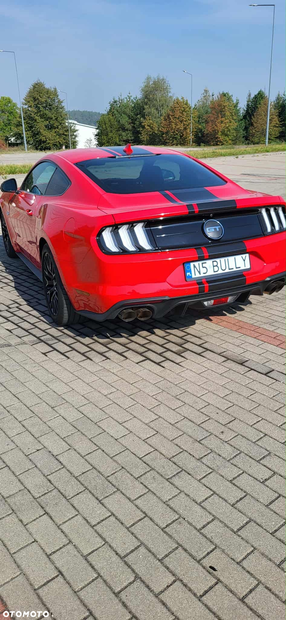 Ford Mustang 5.0 V8 GT - 6