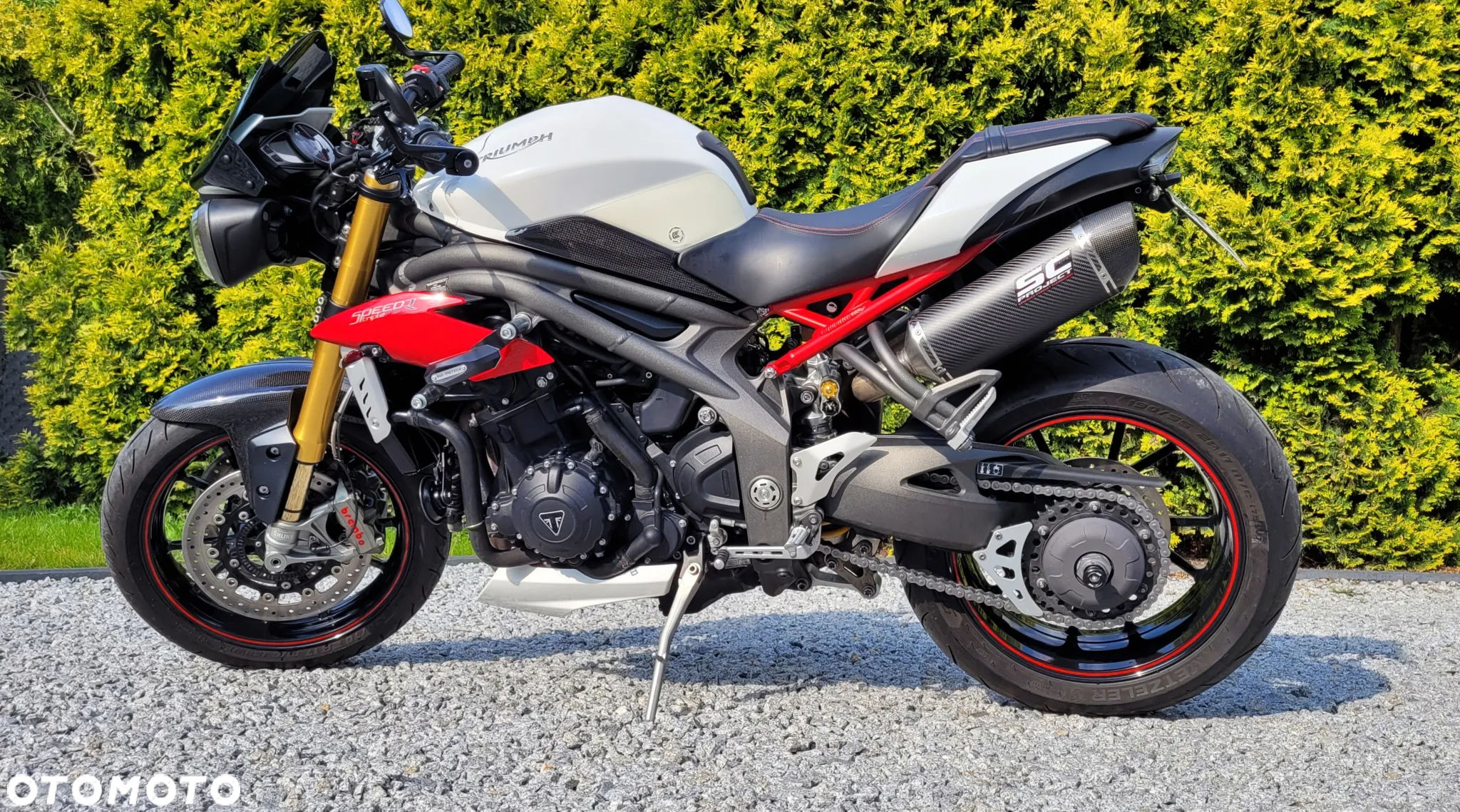 Triumph Speed Triple - 10