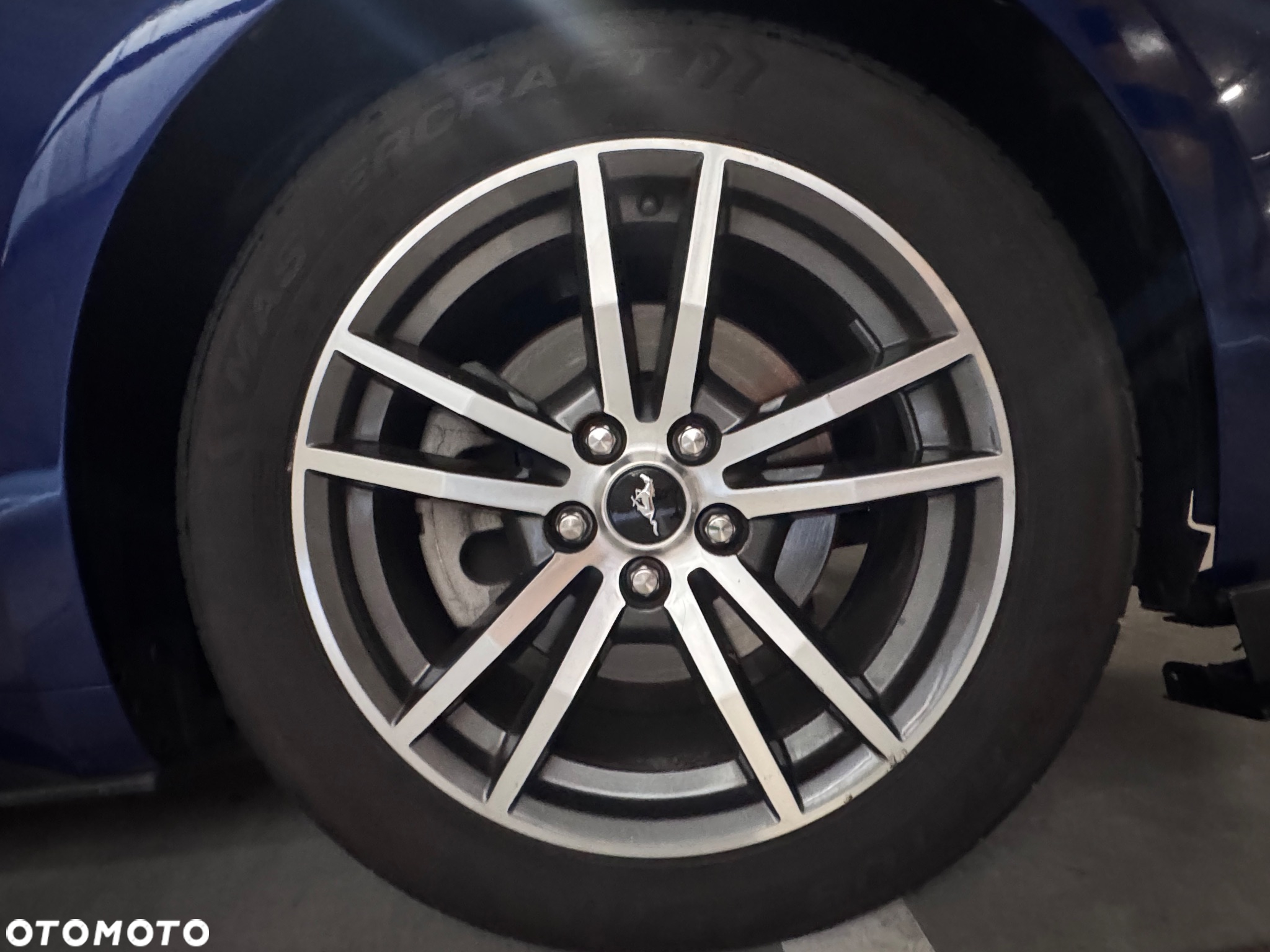 Ford Mustang 2.3 EcoBoost - 15