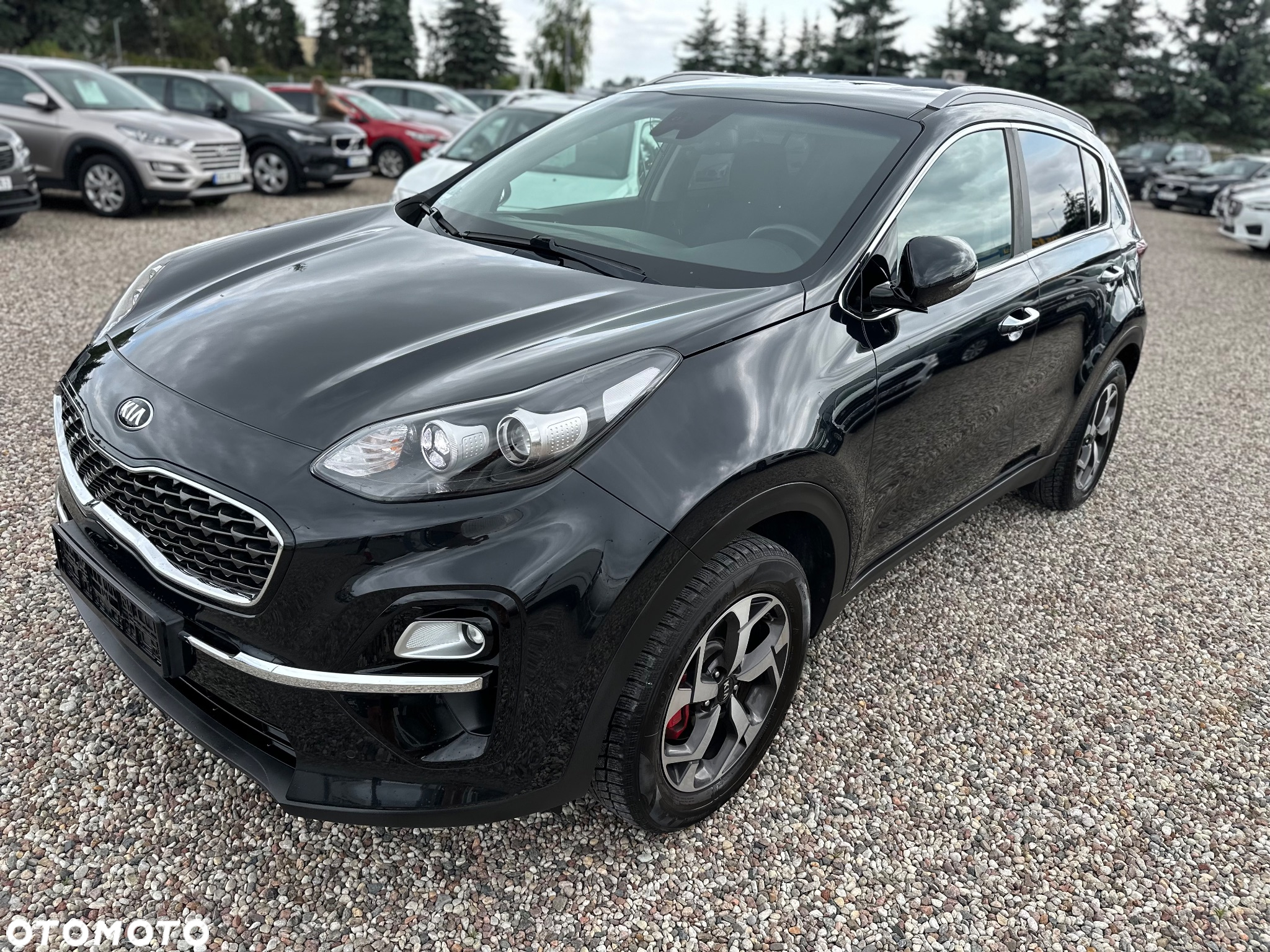 Kia Sportage 1.6 GDI 2WD VISION - 2