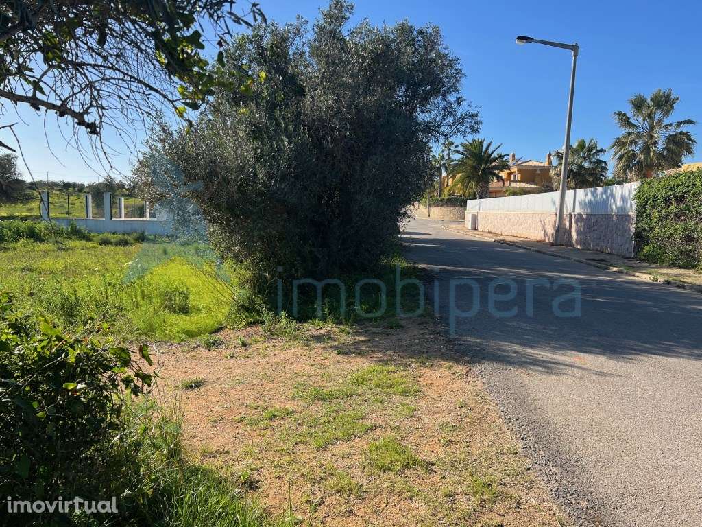 TERRENO RÚSTICO TAVAGUEIRA GUIA - Grande imagem: 3/18