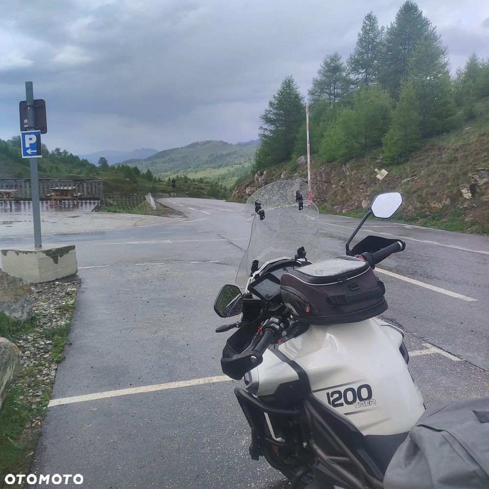 Triumph Tiger - 13