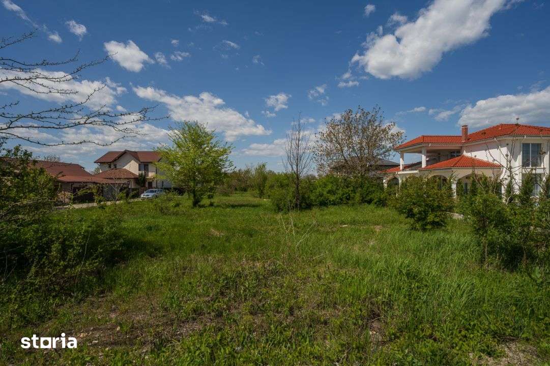 SNAGOV - CIOFLICENI TEREN CONSTRUCTII 830 MP, LOT DE COLȚ! - Imagine principală: 5/7