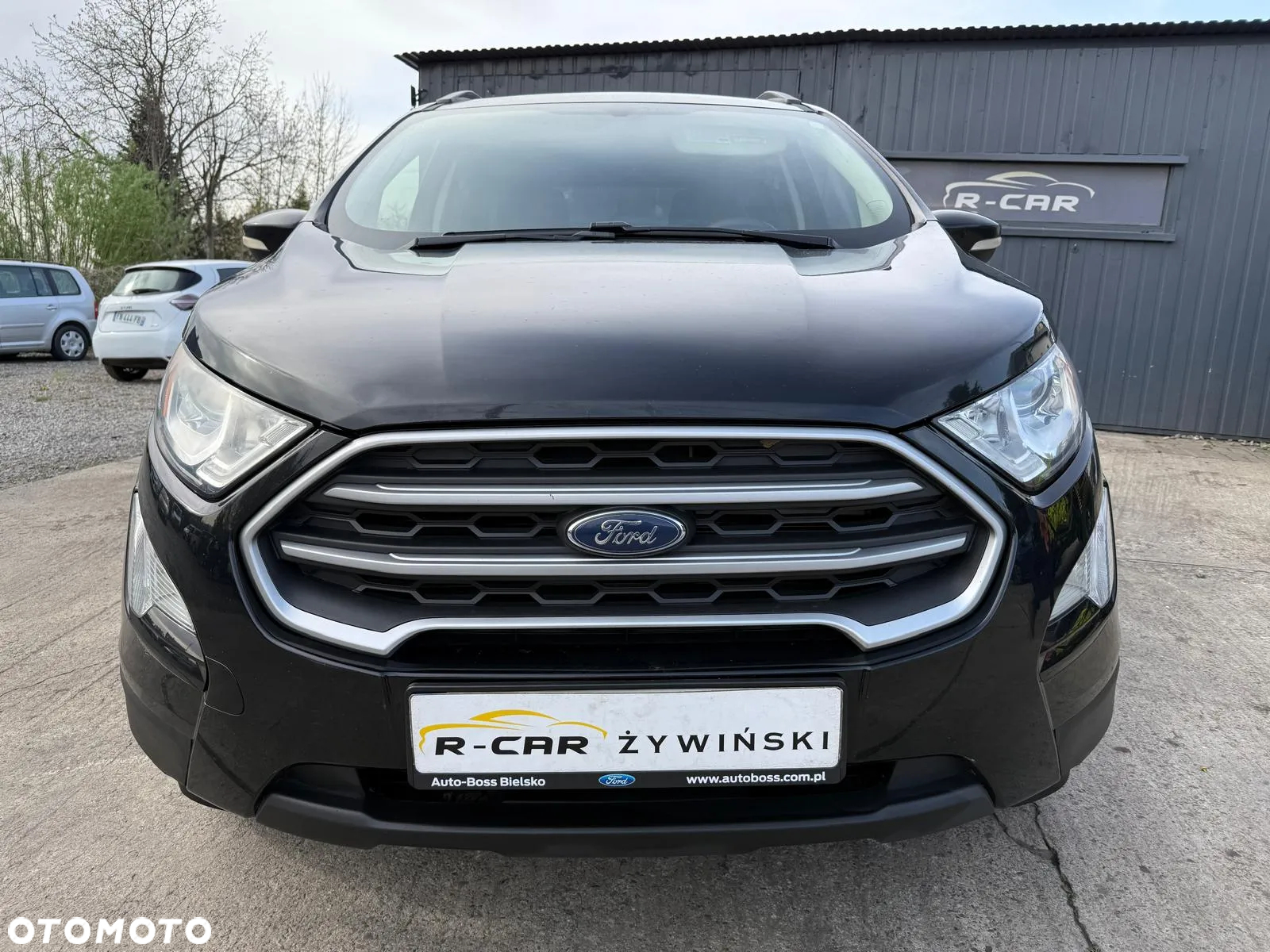 Ford EcoSport - 12