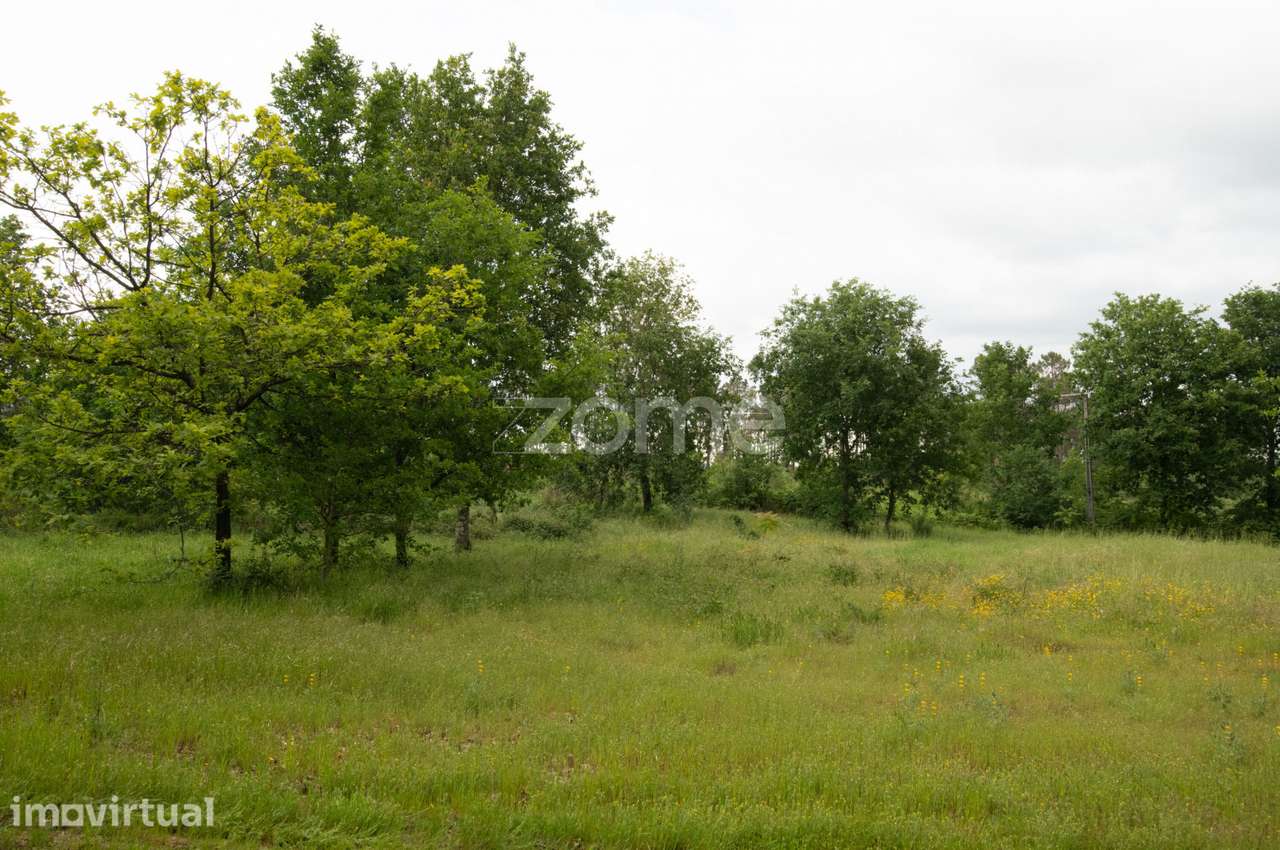 Terreno com 7.293 m² Indústria e Comércio – EN17 – Santiago Seia... - Grande imagem: 2/15