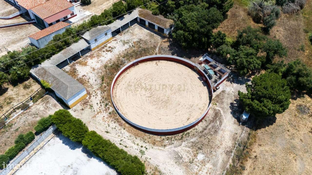 Quinta Equestre a 45 minutos de Lisboa - Grande imagem: 4/29