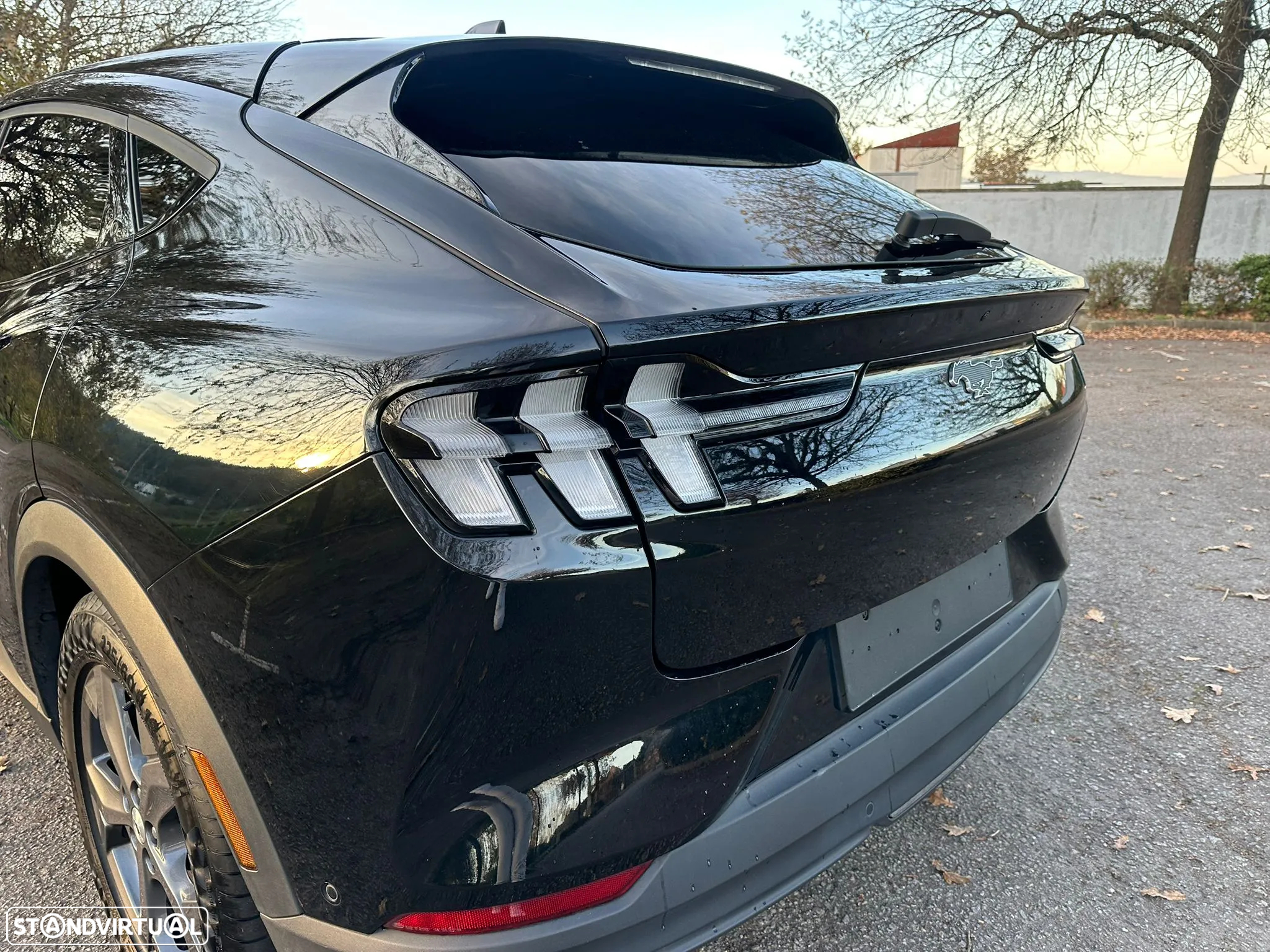 Ford Mustang Mach-E Standard - 14