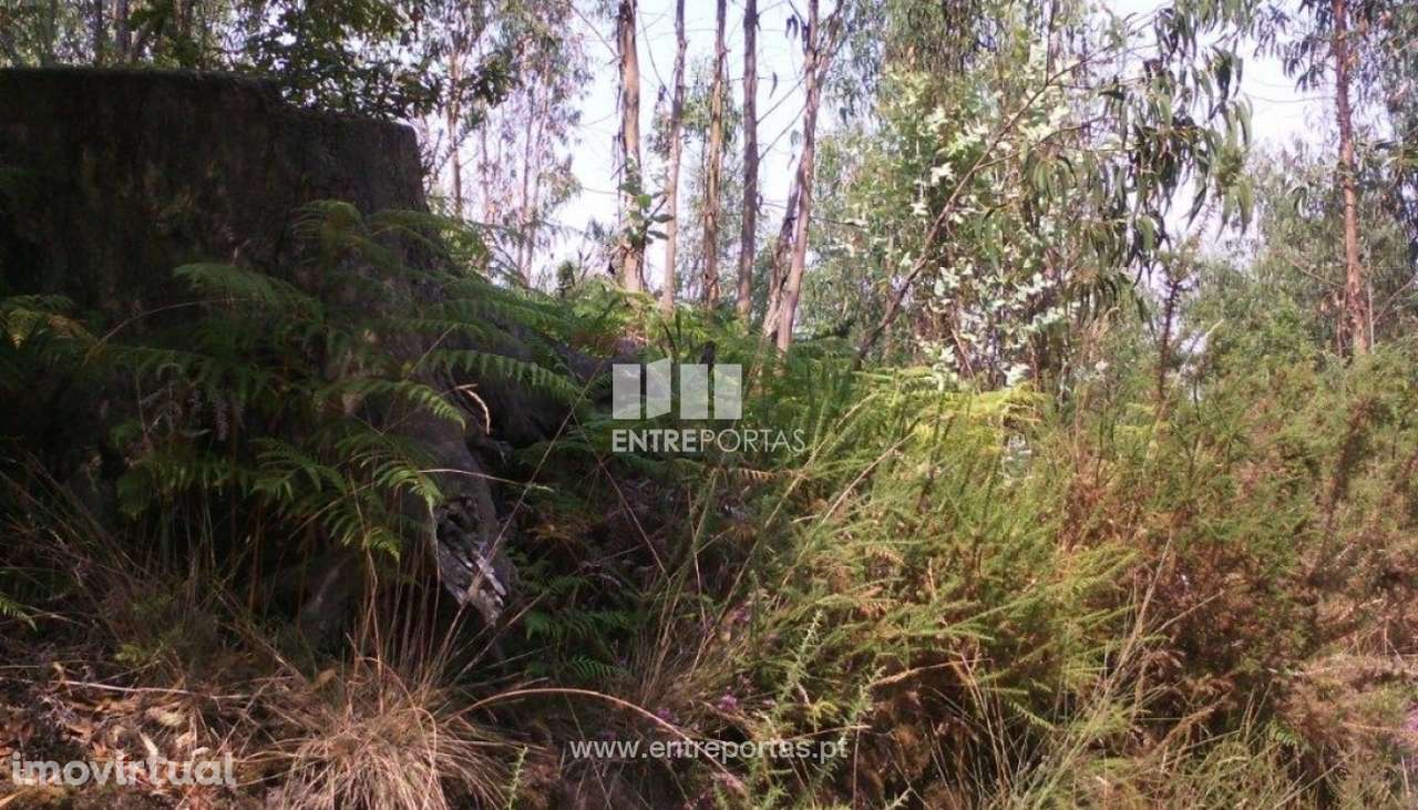 Venda de terreno, Canidelo, Vila do Conde - Grande imagem: 2/5