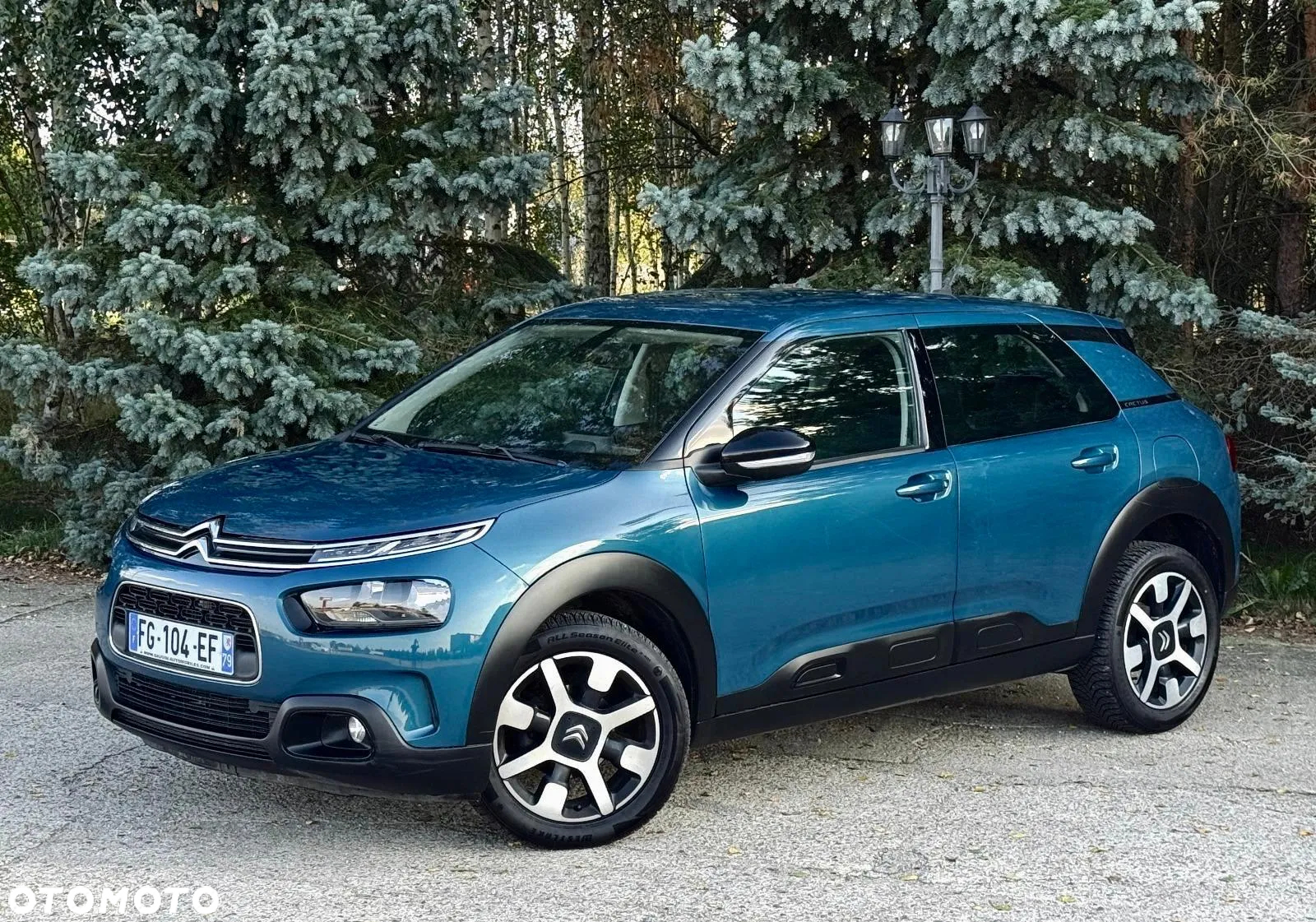 Citroën C4 Cactus - 6