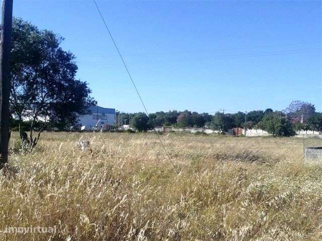 Palmela/Quinta do Anjo Terreno 6800m2 . - Grande imagem: 5/5