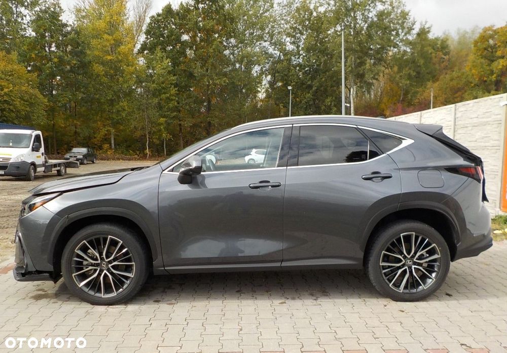 Lexus NX - 11