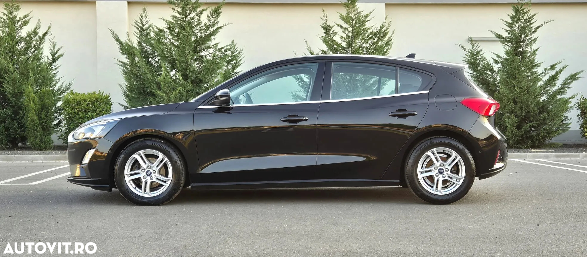 Ford Focus - 6