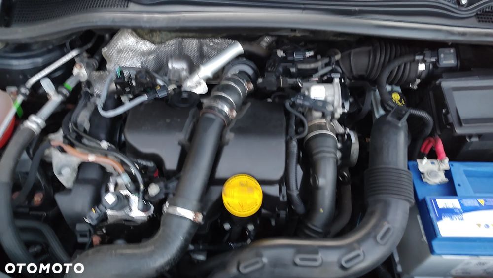 Renault Clio - 19