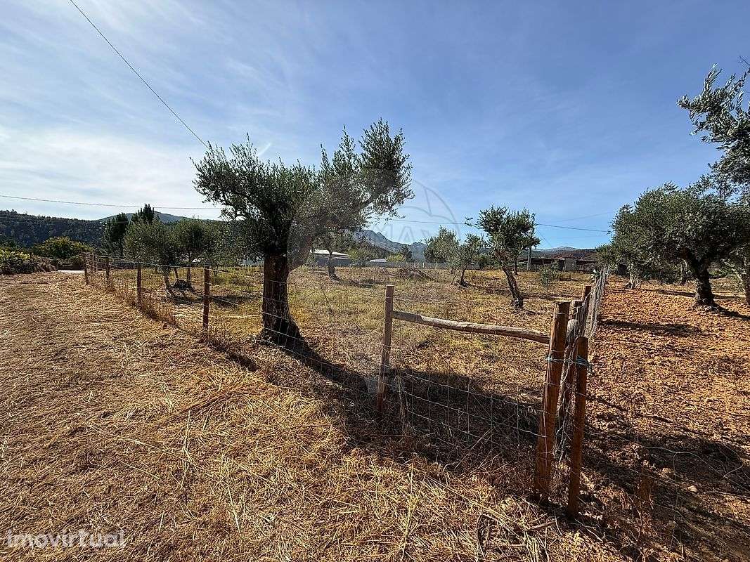 Terreno  para venda - Grande imagem: 3/20