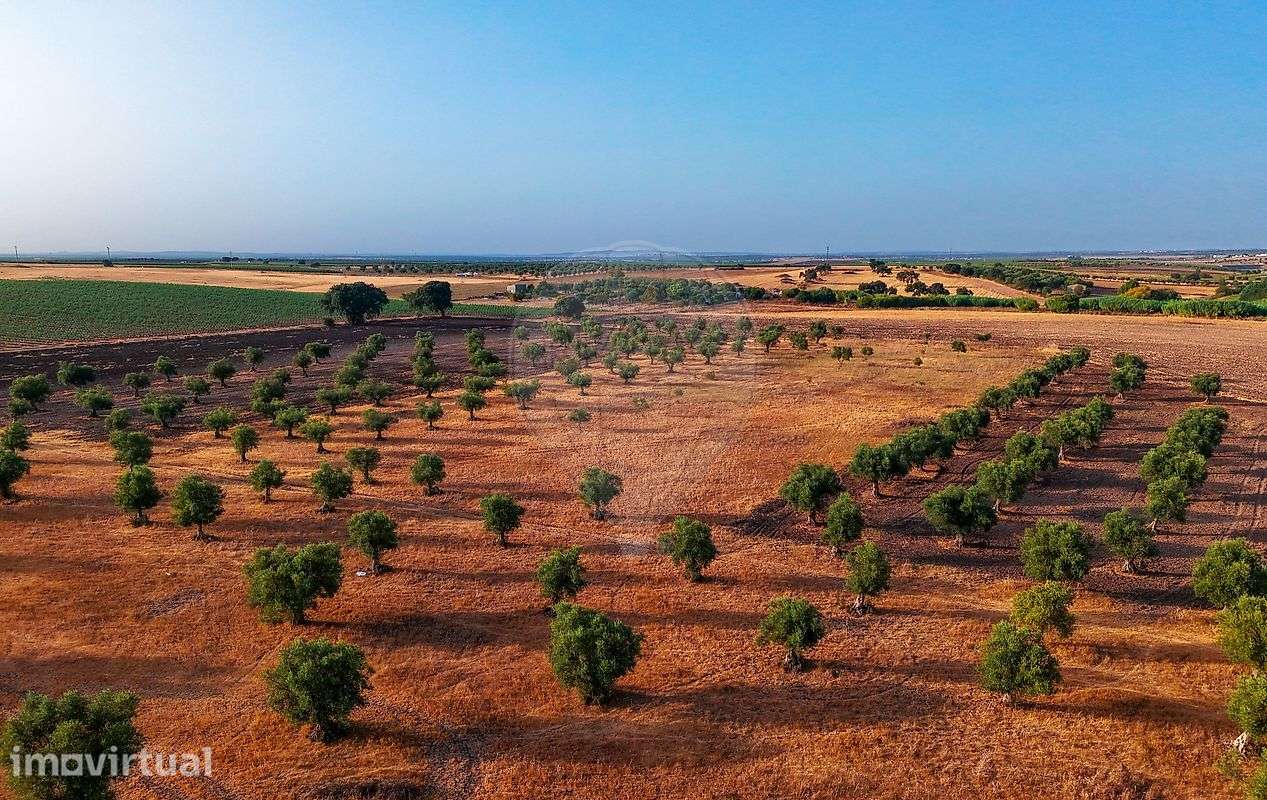 Terreno  para venda - Grande imagem: 5/16