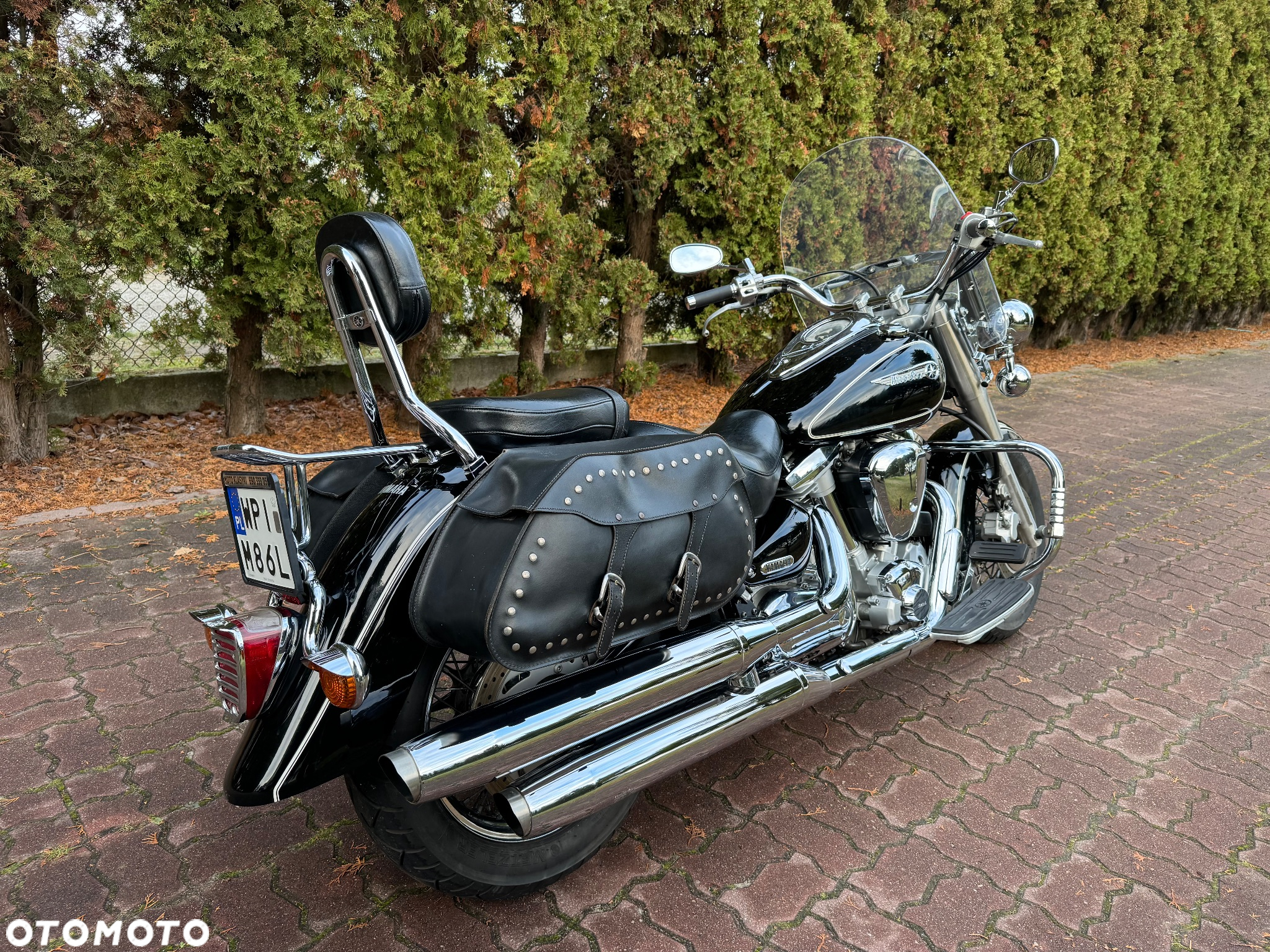 Yamaha Wild star - 5