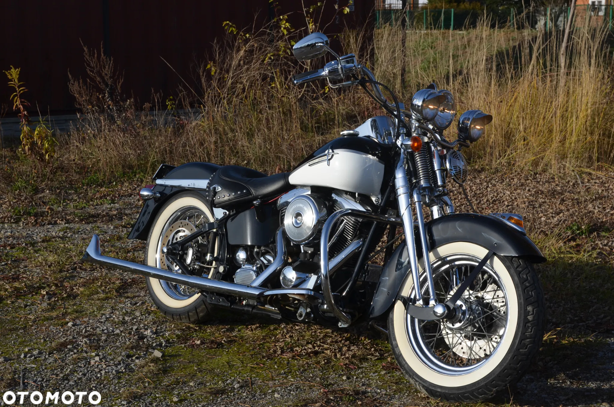 Harley-Davidson Softail Springer Classic - 15
