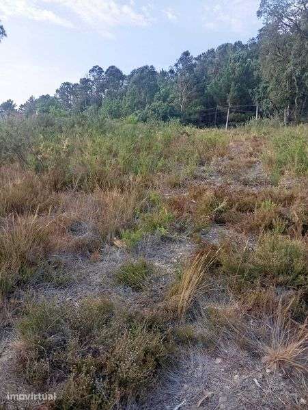 vendo terreno para construção em Gandra – 1.000 m² - Grande imagem: 4/5