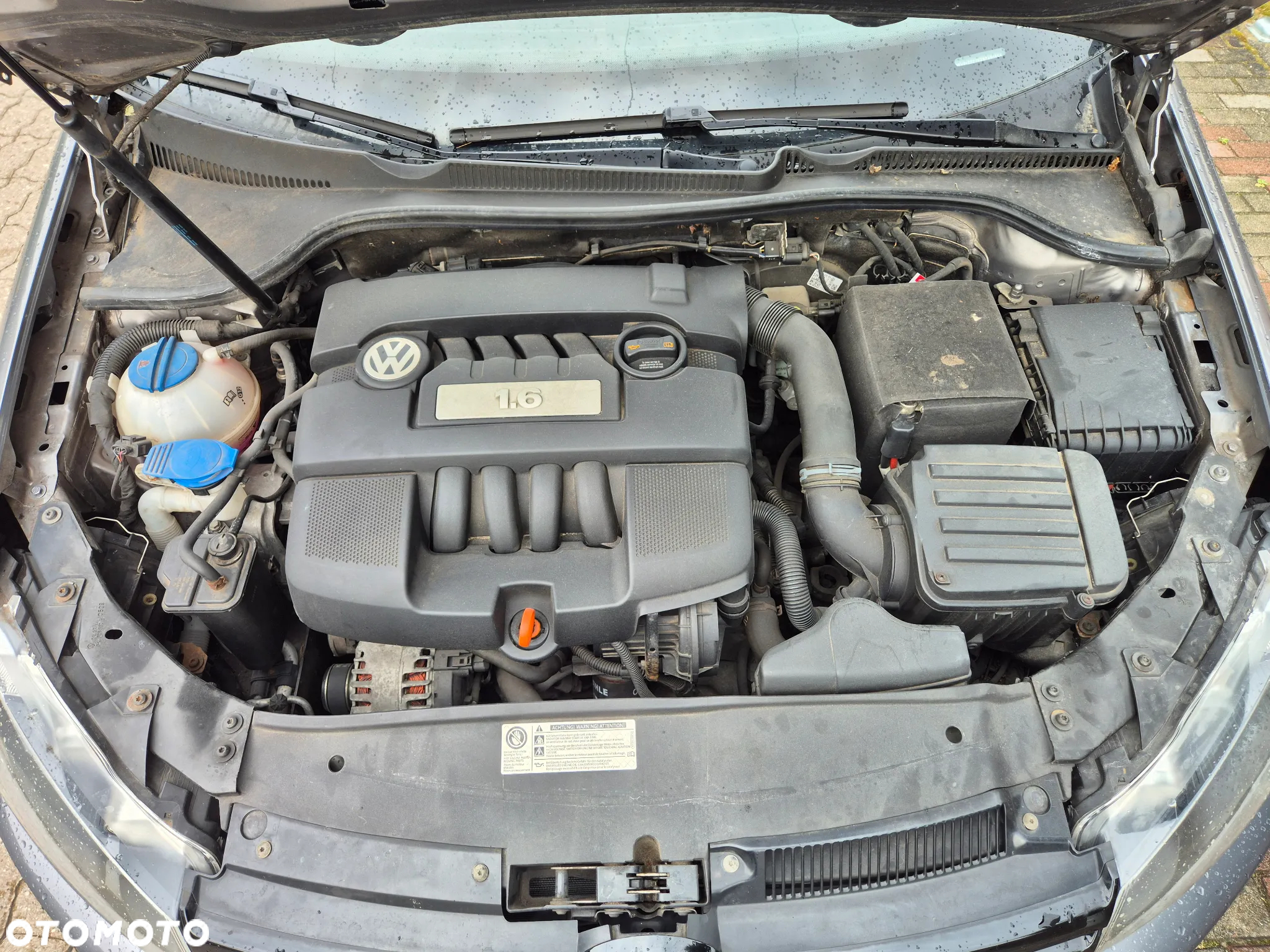 Volkswagen Golf - 11