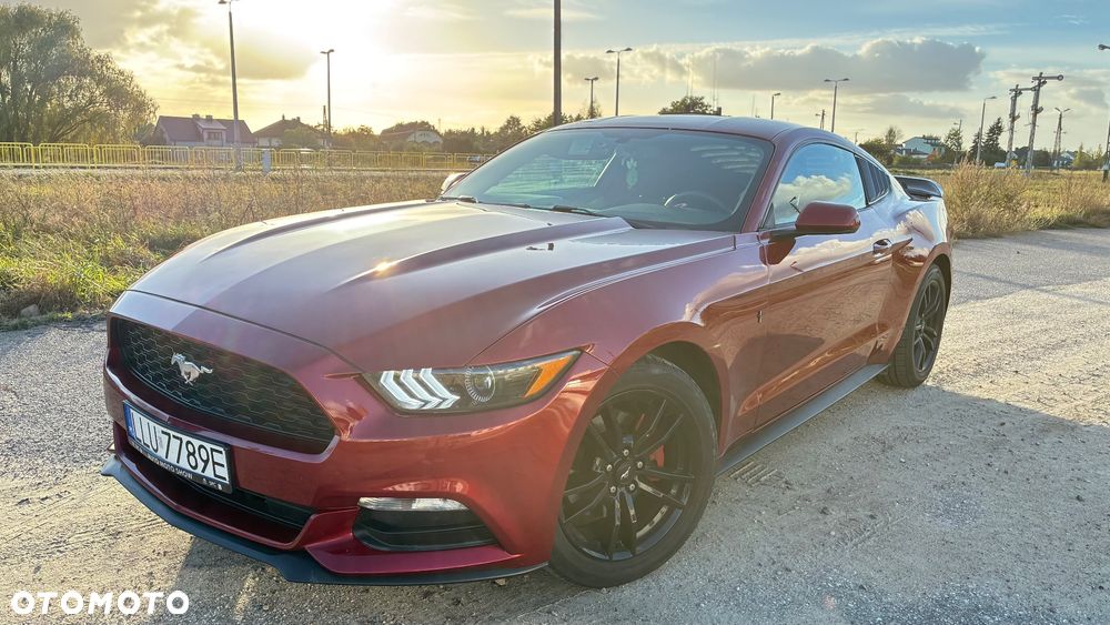 Ford Mustang - 4