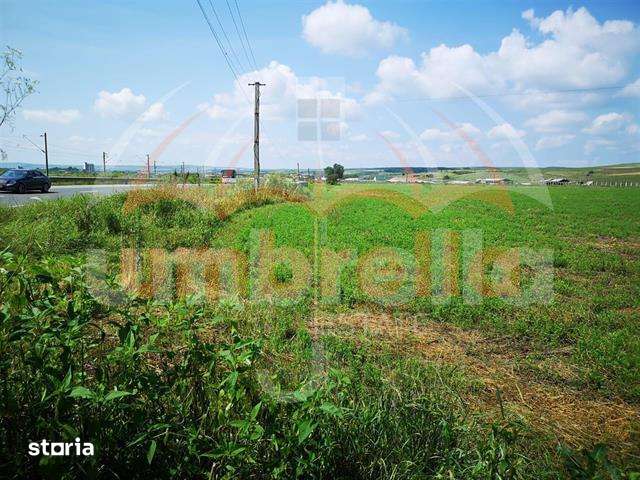Teren de vanzare in Iclod  8.659m²10€ m²  DN1 - Imagine principală: 4/4