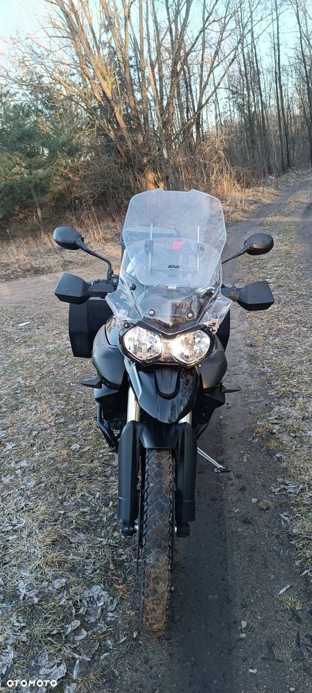 Triumph Tiger - 2