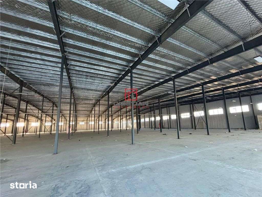 Inchiriere depozithalaspatiu industrialshowroom Afumati - DN2 - Dorall - Imagine principală: 3/20